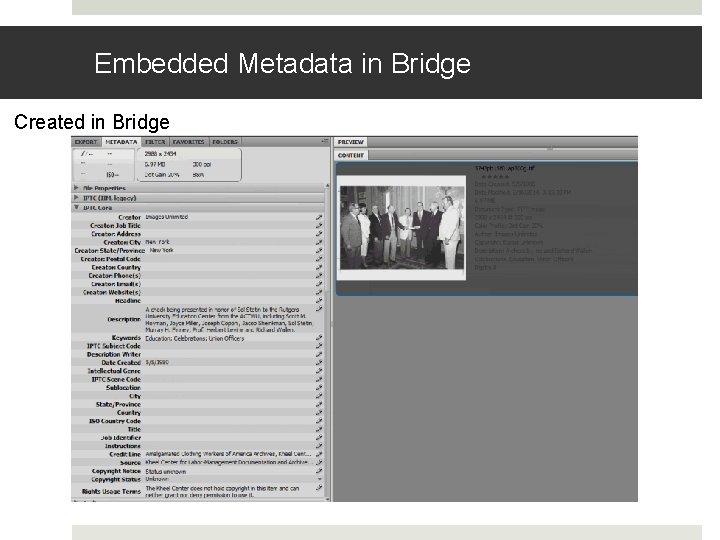 Embedded Metadata in Bridge Created in Bridge 