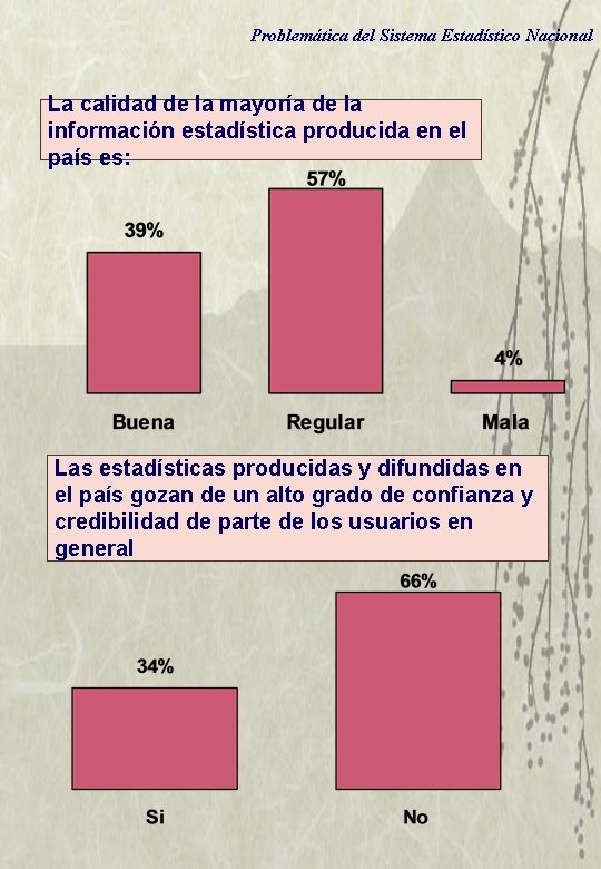 Problemática del Sistema Estadístico Nacional La calidad de la mayoría de la información estadística