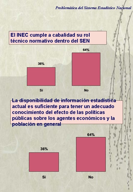 Problemática del Sistema Estadístico Nacional El INEC cumple a cabalidad su rol técnico normativo