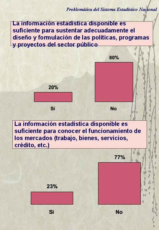 Problemática del Sistema Estadístico Nacional La información estadística disponible es suficiente para sustentar adecuadamente