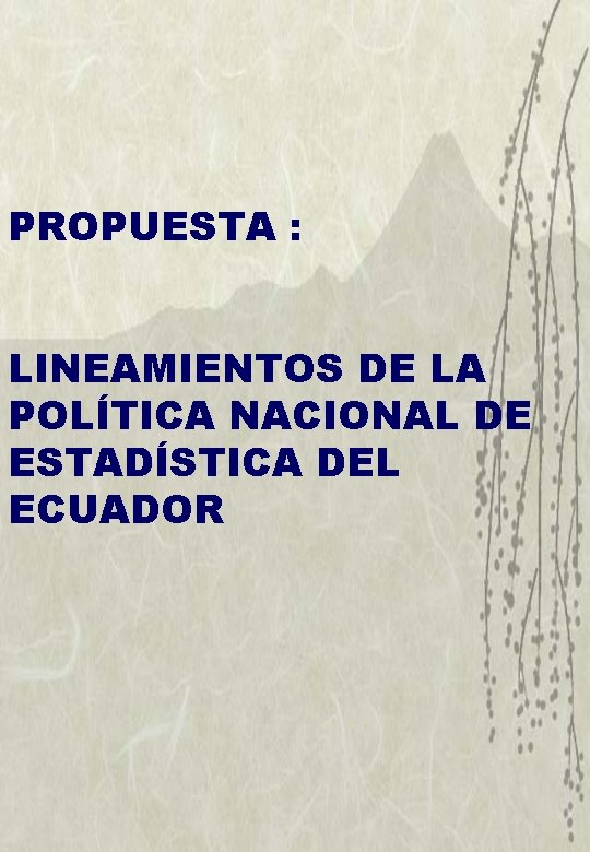 PROPUESTA : LINEAMIENTOS DE LA POLÍTICA NACIONAL DE ESTADÍSTICA DEL ECUADOR 