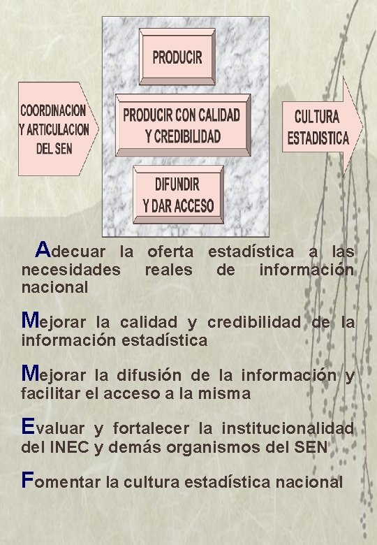 Adecuar la oferta estadística a las necesidades reales de información nacional Mejorar la calidad