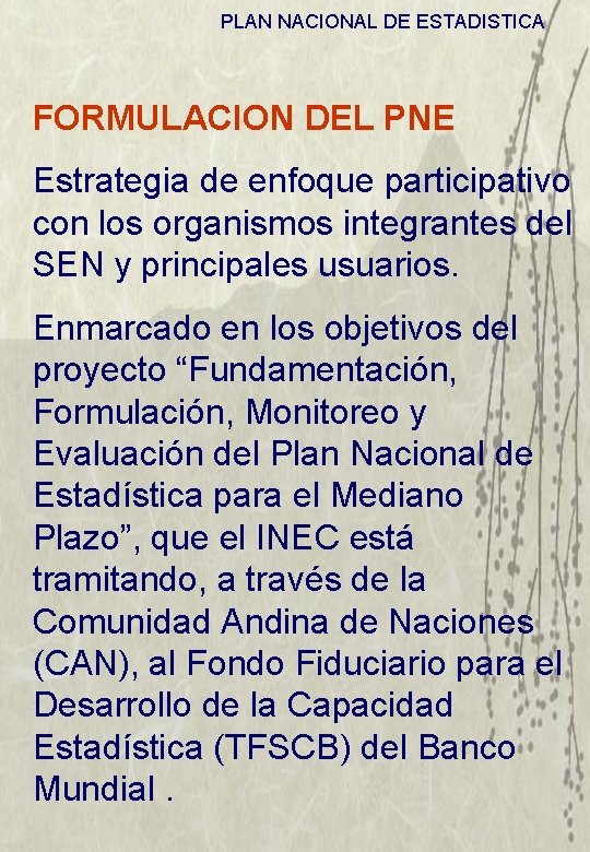 PLAN NACIONAL DE ESTADISTICA FORMULACION DEL PNE Estrategia de enfoque participativo con los organismos