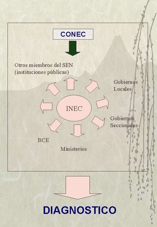 CONEC Otros miembros del SEN (instituciones públicas) Gobiernos Locales INEC Gobiernos Seccionales BCE Ministerios