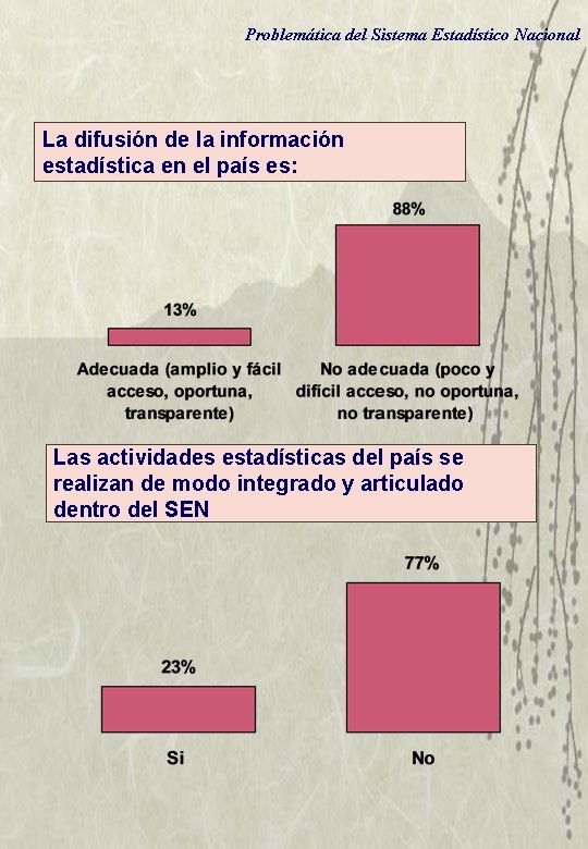 Problemática del Sistema Estadístico Nacional La difusión de la información estadística en el país