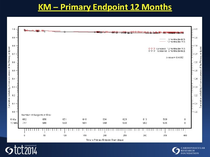 KM – Primary Endpoint 12 Months 