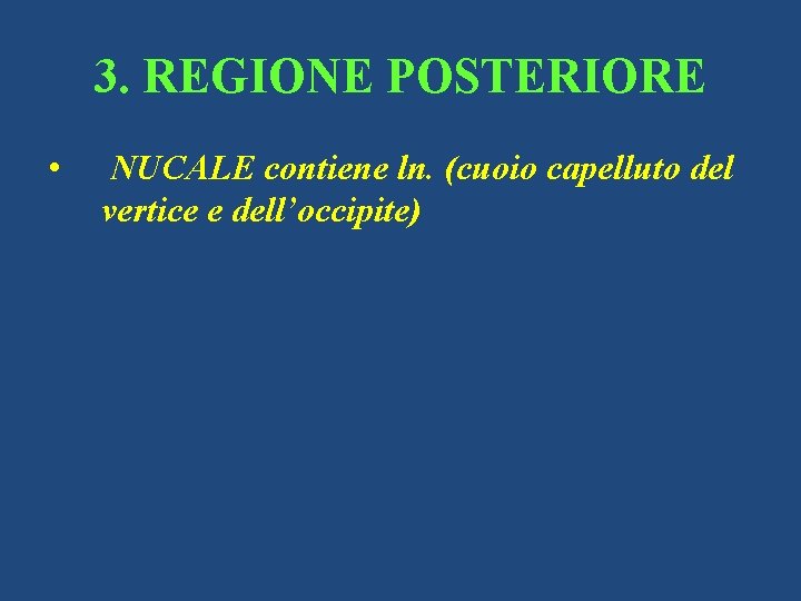 3. REGIONE POSTERIORE • NUCALE contiene ln. (cuoio capelluto del vertice e dell’occipite) 