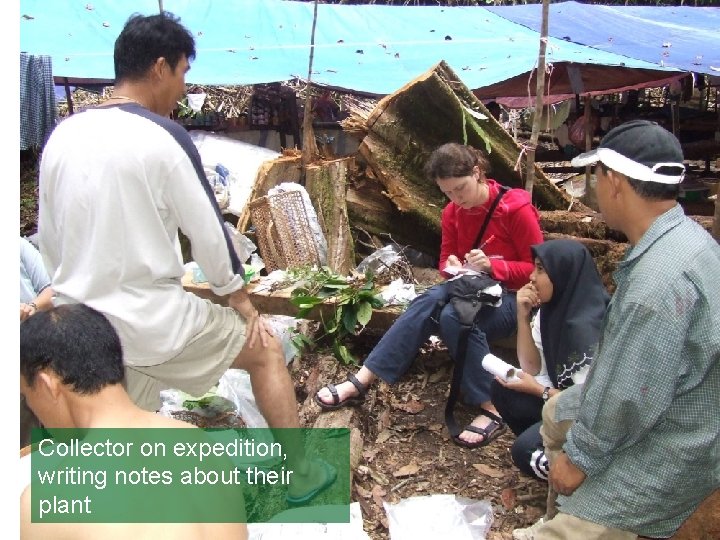 Collector on expedition, writing notes about their plant 