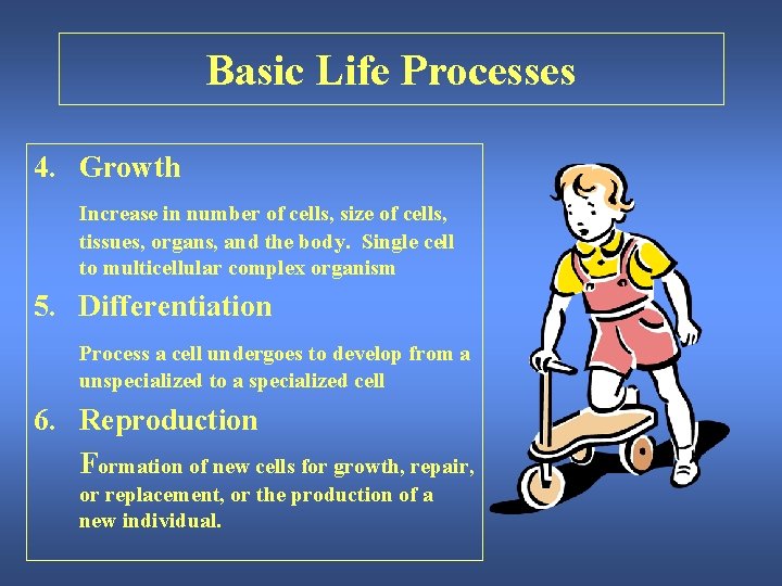 Basic Life Processes 4. Growth Increase in number of cells, size of cells, tissues,
