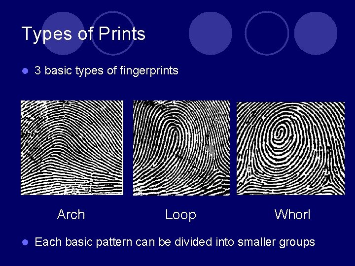 Types of Prints l 3 basic types of fingerprints Arch l Loop Whorl Each