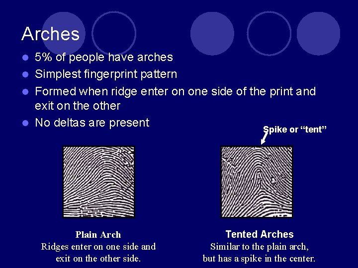 Arches 5% of people have arches l Simplest fingerprint pattern l Formed when ridge