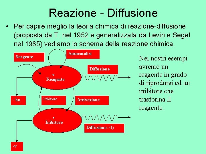 Reazione - Diffusione • Per capire meglio la teoria chimica di reazione-diffusione (proposta da