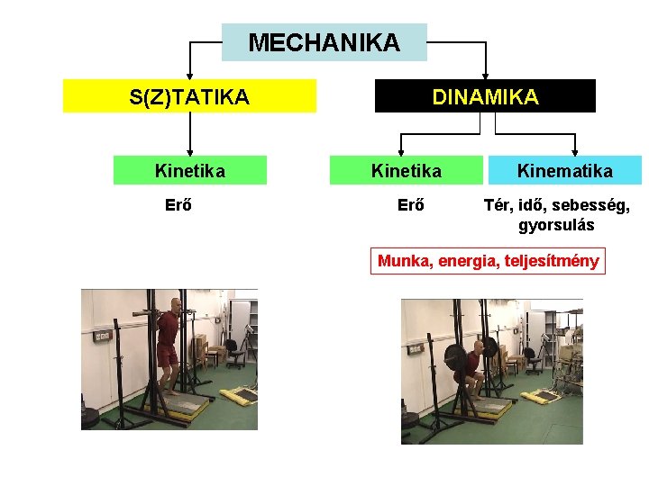 MECHANIKA S(Z)TATIKA Kinetika Erő DINAMIKA Kinetika Erő Kinematika Tér, idő, sebesség, gyorsulás Munka, energia,