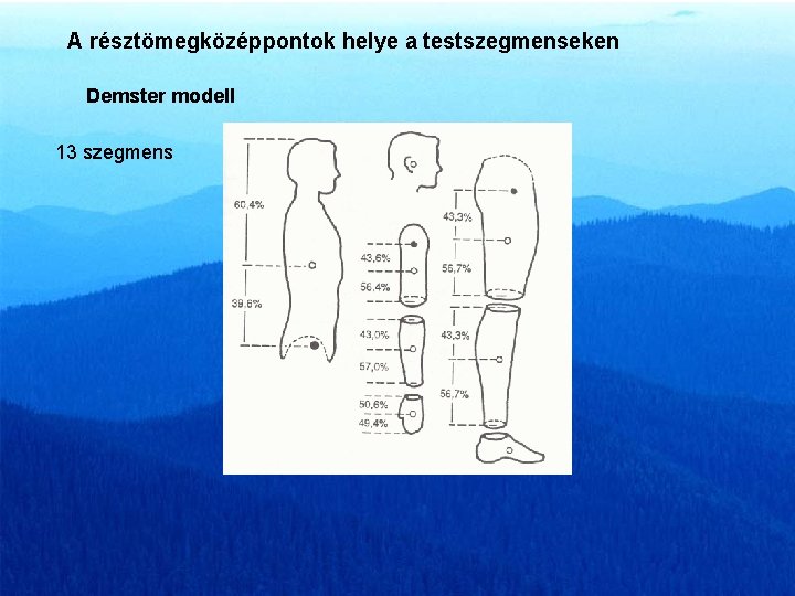 A résztömegközéppontok helye a testszegmenseken Demster modell 13 szegmens 