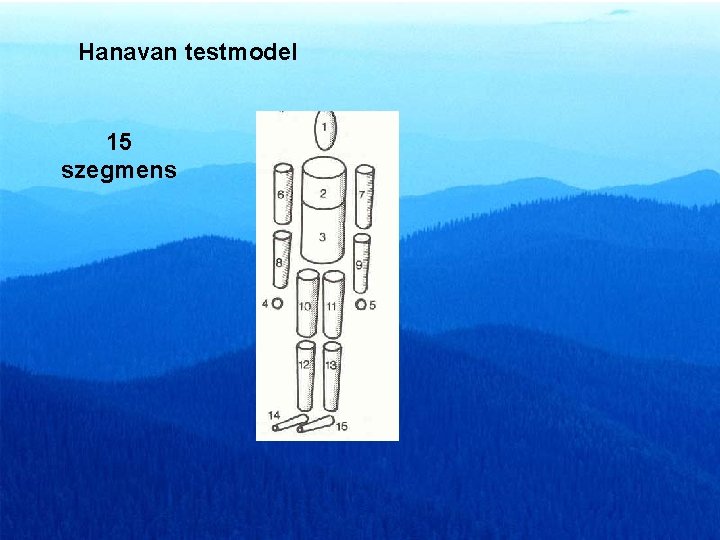 Hanavan testmodel 15 szegmens 