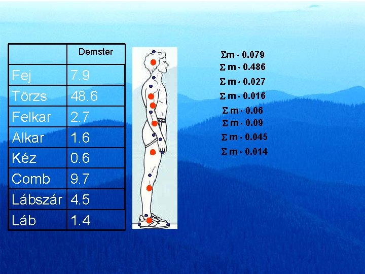 Demster Fej Törzs Felkar Alkar Kéz Comb Lábszár Láb 7. 9 48. 6 2.