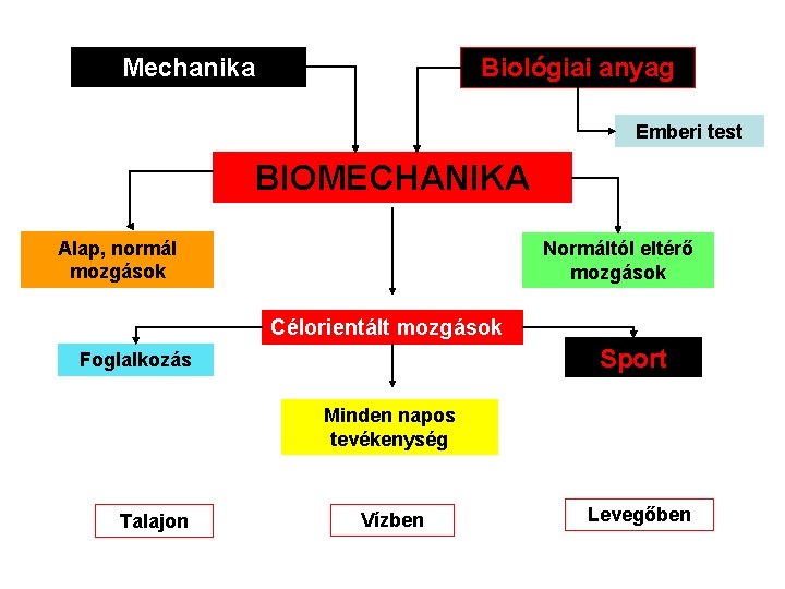 Mechanika Biológiai anyag Emberi test BIOMECHANIKA Alap, normál mozgások Normáltól eltérő mozgások Célorientált mozgások