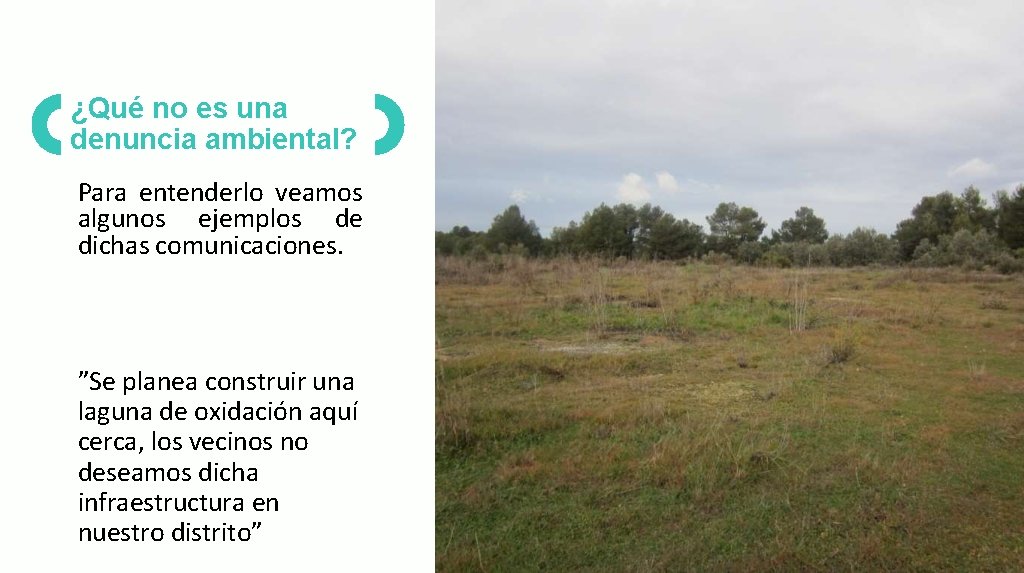 ¿Qué no es una denuncia ambiental? Para entenderlo veamos algunos ejemplos de dichas comunicaciones.