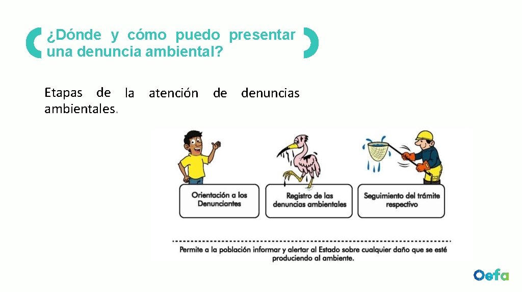 ¿Dónde y cómo puedo presentar una denuncia ambiental? Etapas de la atención de denuncias