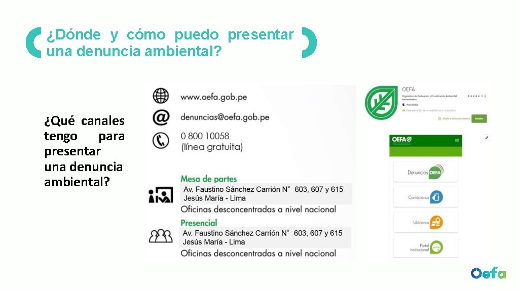 ¿Dónde y cómo puedo presentar una denuncia ambiental? ¿Qué canales tengo para presentar una