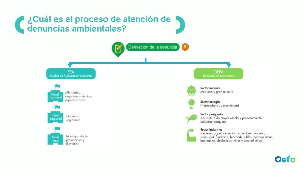 ¿Cuál es el proceso de atención de denuncias ambientales? 5 