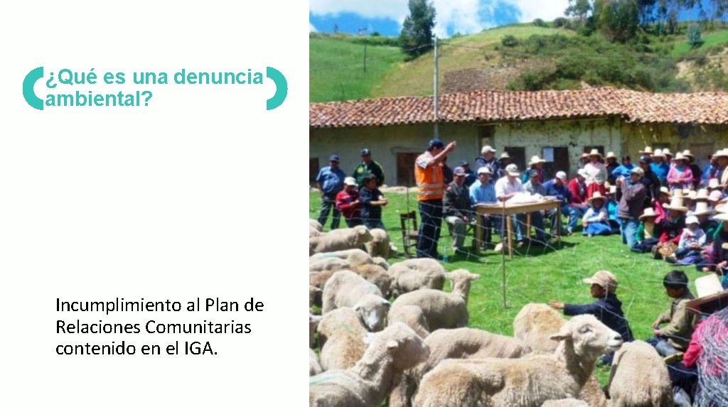 ¿Qué es una denuncia ambiental? Incumplimiento al Plan de Relaciones Comunitarias contenido en el