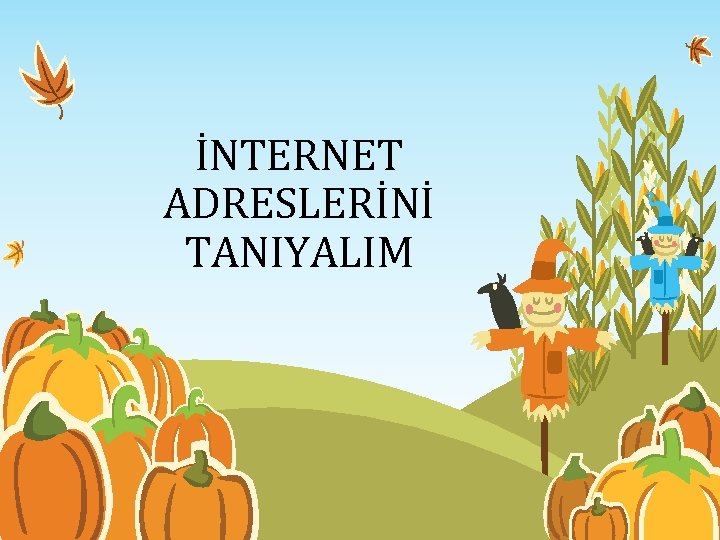 İNTERNET ADRESLERİNİ TANIYALIM 