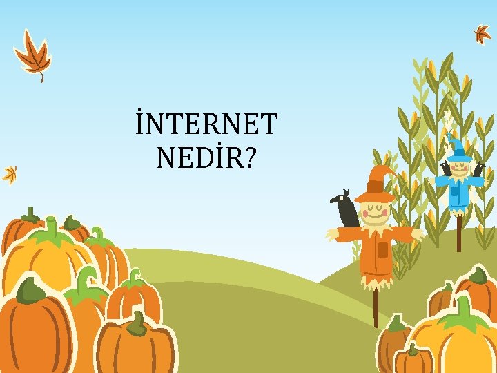 İNTERNET NEDİR? 