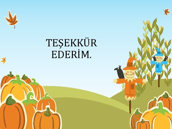 TEŞEKKÜR EDERİM. 