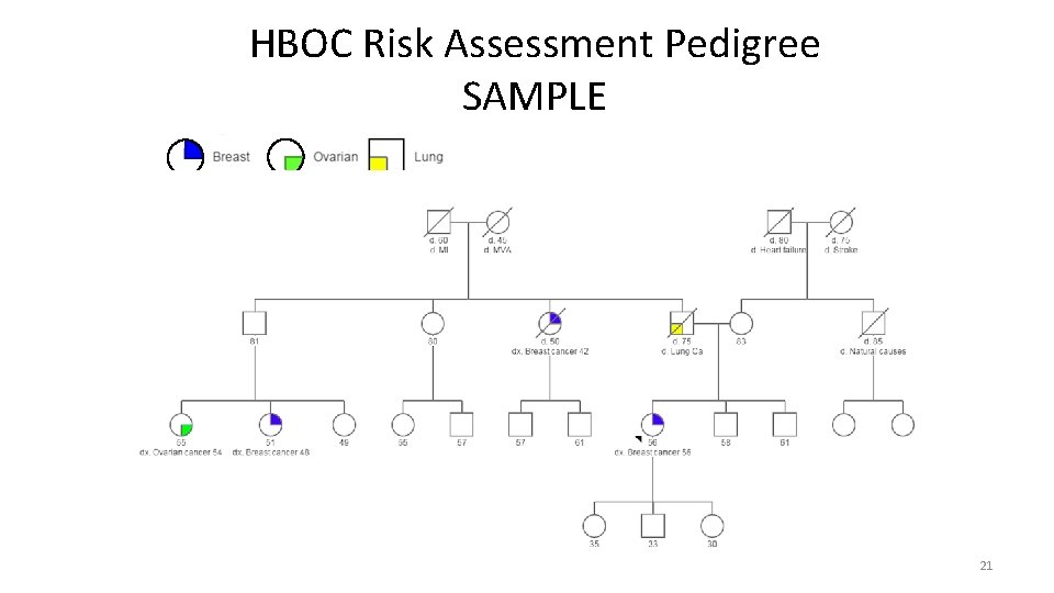 HBOC Risk Assessment Pedigree SAMPLE 21 