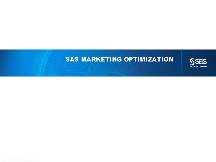 SAS MARKETING OPTIMIZATION Copyright © 2012, SAS Institute Inc. All rights reserved. 