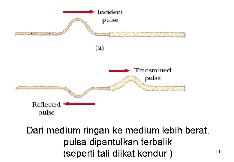 Dari medium ringan ke medium lebih berat, pulsa dipantulkan terbalik (seperti tali diikat kendur