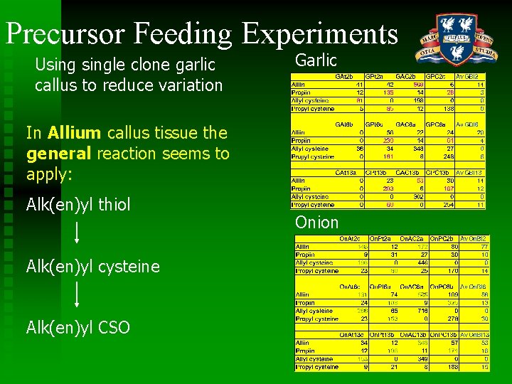 Precursor Feeding Experiments Usingle clone garlic callus to reduce variation Garlic In Allium callus