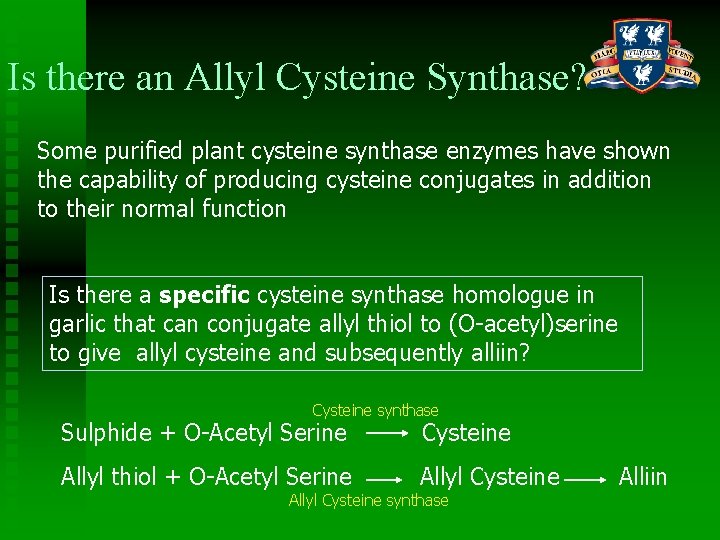 Is there an Allyl Cysteine Synthase? Some purified plant cysteine synthase enzymes have shown