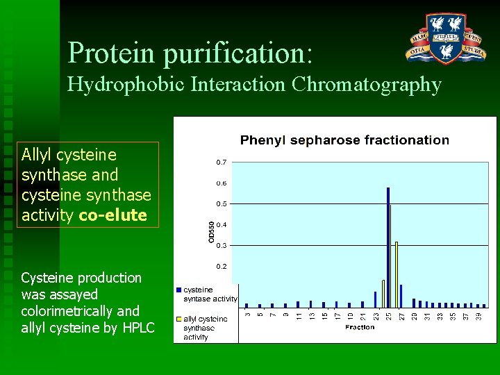 Protein purification: Hydrophobic Interaction Chromatography Allyl cysteine synthase and cysteine synthase activity co-elute Cysteine
