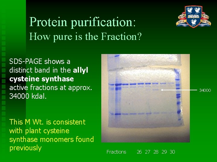 Protein purification: How pure is the Fraction? SDS-PAGE shows a distinct band in the