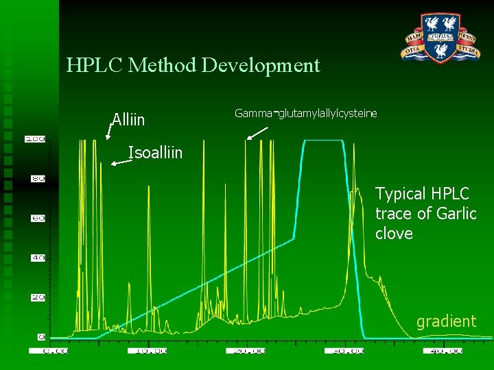 HPLC Method Development Alliin Gamma-glutamylallylcysteine Isoalliin Typical HPLC trace of Garlic clove gradient 