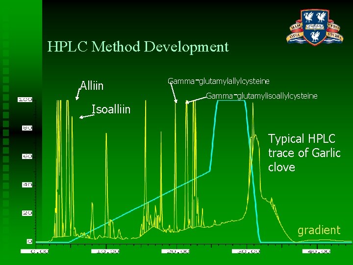 HPLC Method Development Alliin Gamma-glutamylallylcysteine Gamma-glutamylisoallylcysteine Isoalliin Typical HPLC trace of Garlic clove gradient