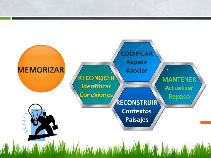 MEMORIZAR RECONOCER Identificar Conexiones CODIFICAR Repetir Asociar RECONSTRUIR Contextos Paisajes MANTENER Actualizar Repaso 