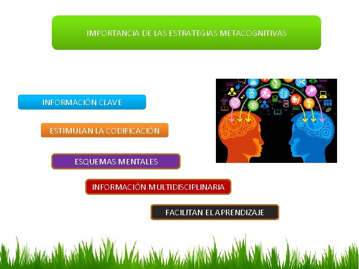 IMPORTANCIA DE LAS ESTRATEGIAS METACOGNITIVAS INFORMACIÓN CLAVE ESTIMULAN LA CODIFICACIÓN ESQUEMAS MENTALES INFORMACIÓN MULTIDISCIPLINARIA