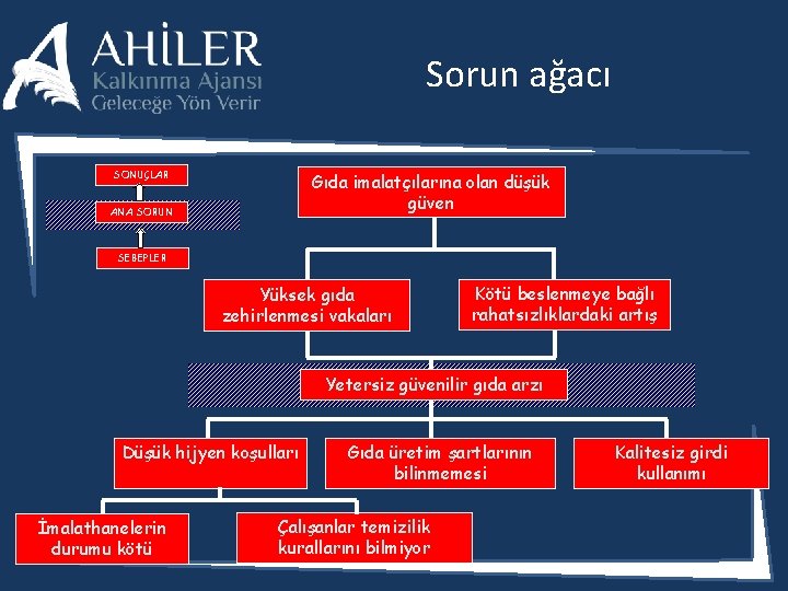 Sorun ağacı SONUÇLAR Gıda imalatçılarına olan düşük güven ANA SORUN SEBEPLER Yüksek gıda zehirlenmesi