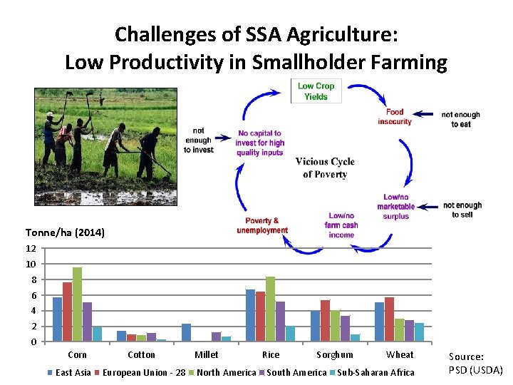 Challenges of SSA Agriculture: Low Productivity in Smallholder Farming Tonne/ha (2014) 12 10 8