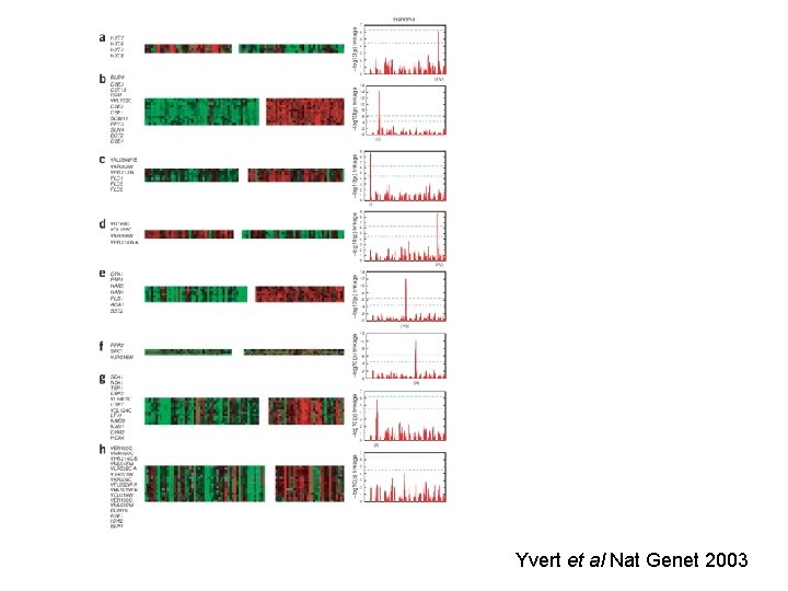 Yvert et al Nat Genet 2003 