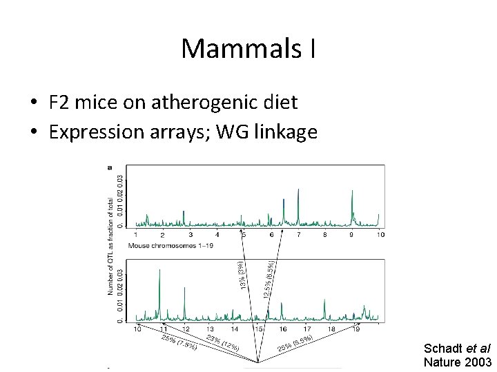 Mammals I • F 2 mice on atherogenic diet • Expression arrays; WG linkage