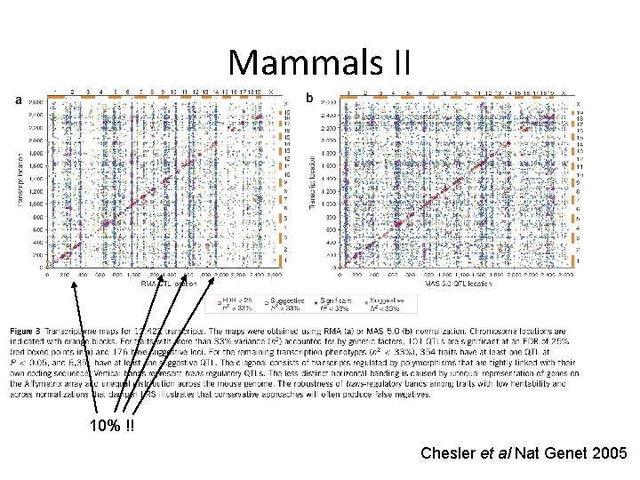 Mammals II 10% !! Chesler et al Nat Genet 2005 