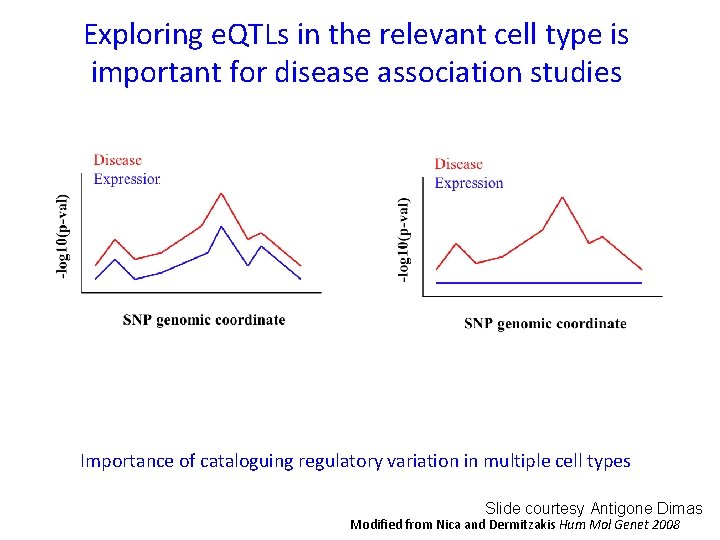Exploring e. QTLs in the relevant cell type is important for disease association studies