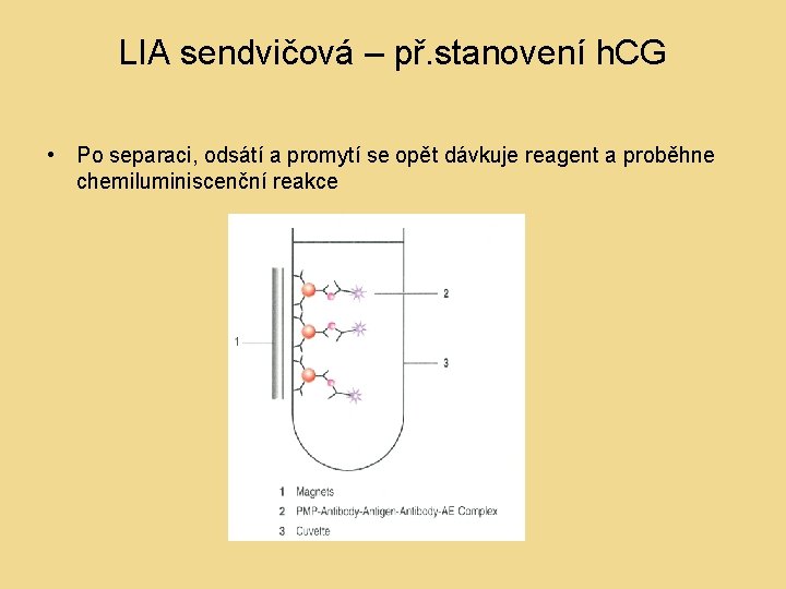 LIA sendvičová – př. stanovení h. CG • Po separaci, odsátí a promytí se LIA sendvičová – př. stanovení h. CG • Po separaci, odsátí a promytí se