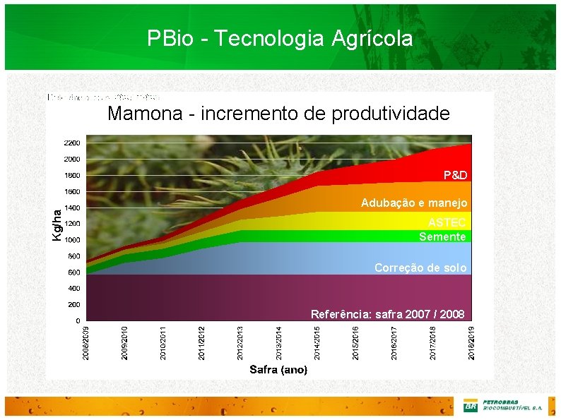 PBio - Tecnologia Agrícola Mamona - incremento de produtividade P&D Kg/ha Adubação e manejo