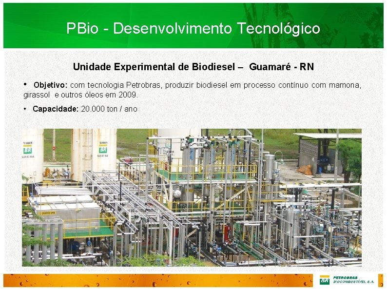 PBio - Desenvolvimento Tecnológico Unidade Experimental de Biodiesel – Guamaré - RN • Objetivo: