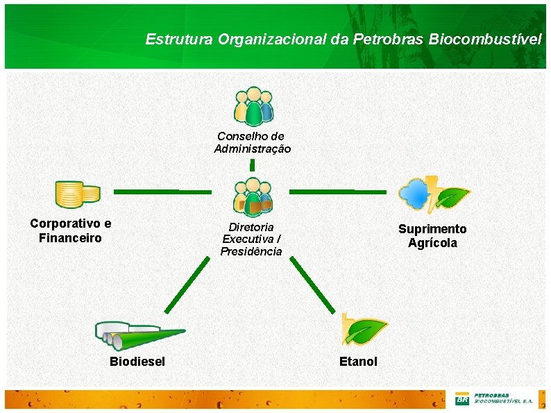 Estrutura Organizacional da Petrobras Biocombustível Conselho de Administração Corporativo e Financeiro Biodiesel Diretoria Executiva